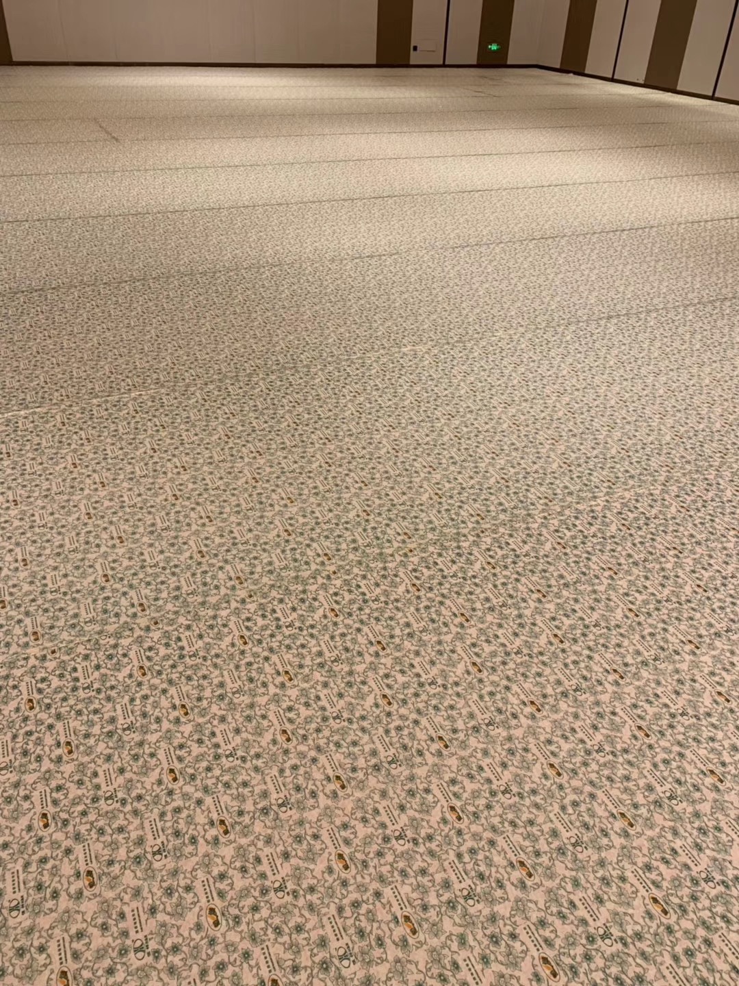 IMG_2876.JPG IMG_2876.JPG