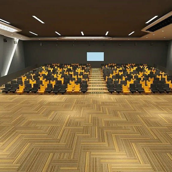 電影院地(dì)毯 電影院地(dì)毯